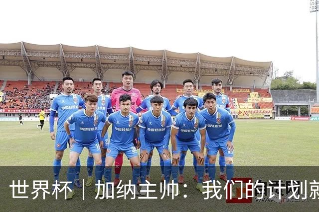 世界杯｜加纳主帅：我们的计划就是让英格兰队受挫