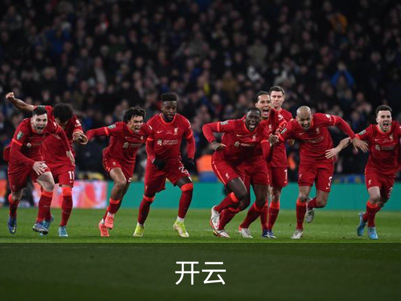 开云概况
